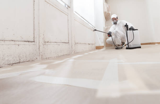 24/7 Emergency Attic Mold Removal experts in New Columbia, PA